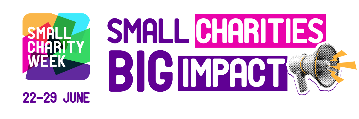 DISH joins national celebration of the big impact small charities have in communities across the UK